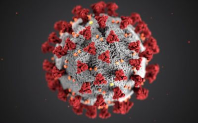 Are Viruses Real? Exosomen!