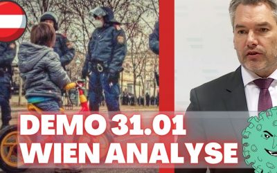 Demo 31.01.21 Wien — Analyse