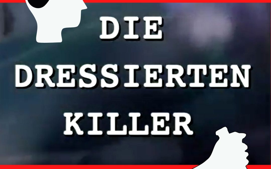 ZDF Beitrag MK-Ultra dressierten Killer